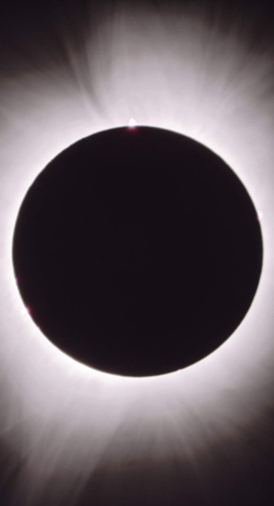 Image of the 2024 Total Solar Eclipse