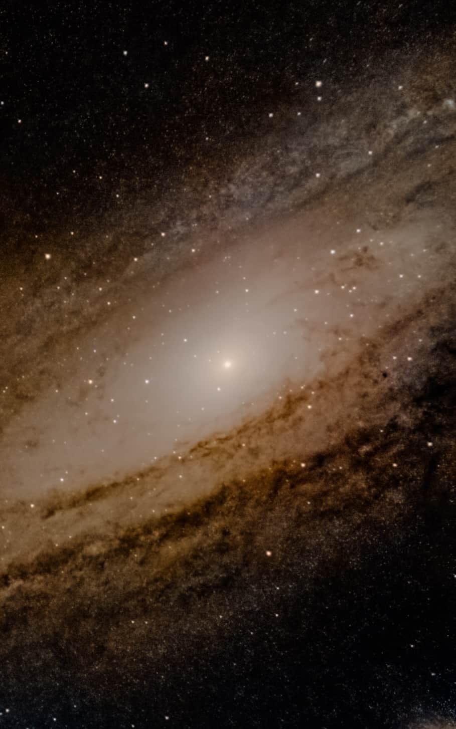 Image of the Andromeda Galaxy