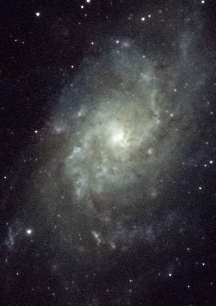 Image of the Triangulum Galaxy