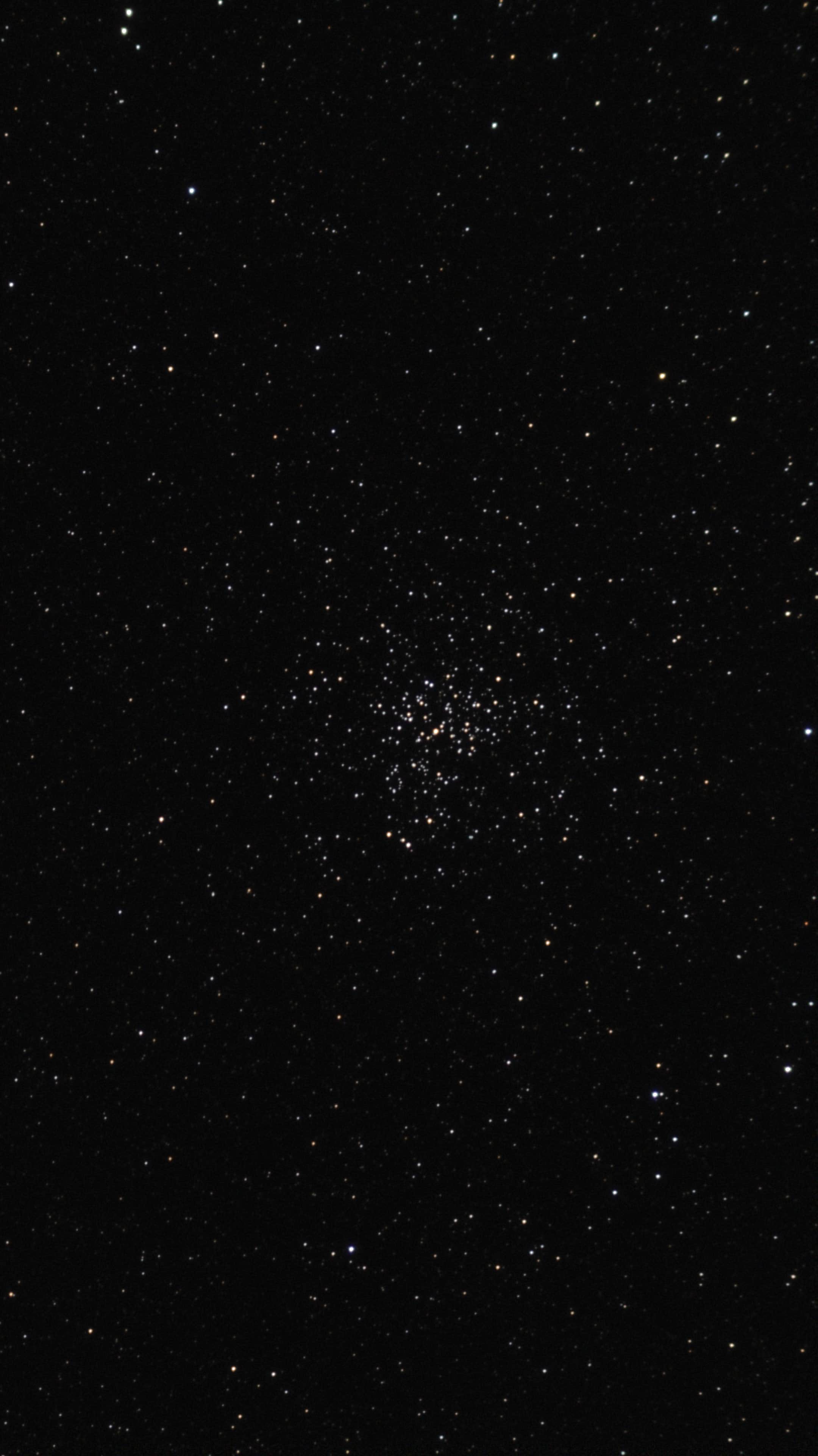 Image of the Salt and Pepper Cluster
