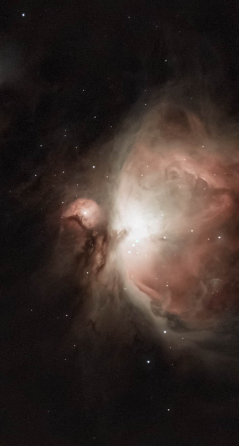 Image of the Orion Nebula