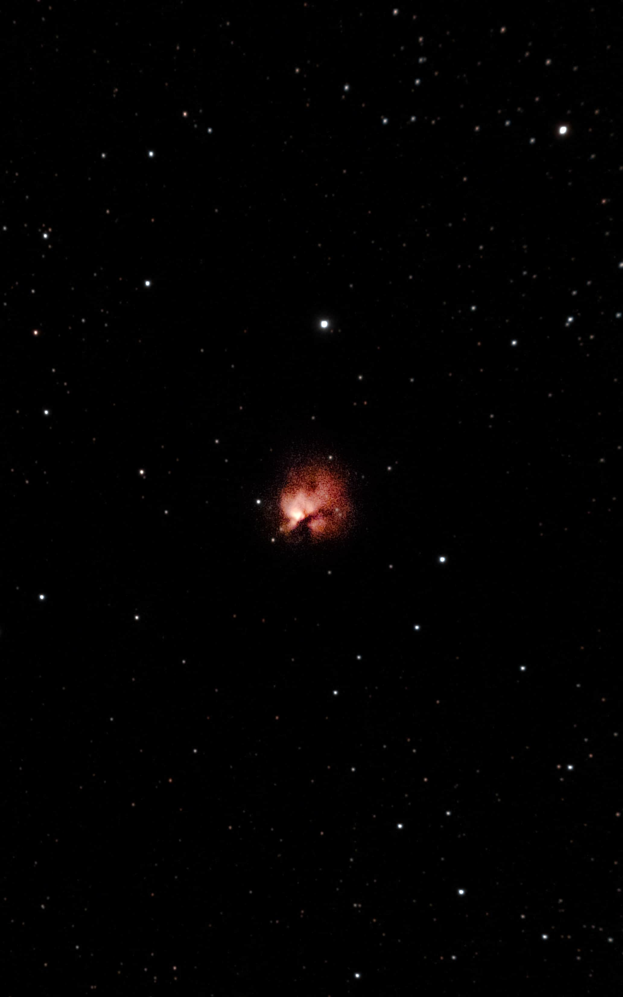 Image of the Northern Trifid Nebula