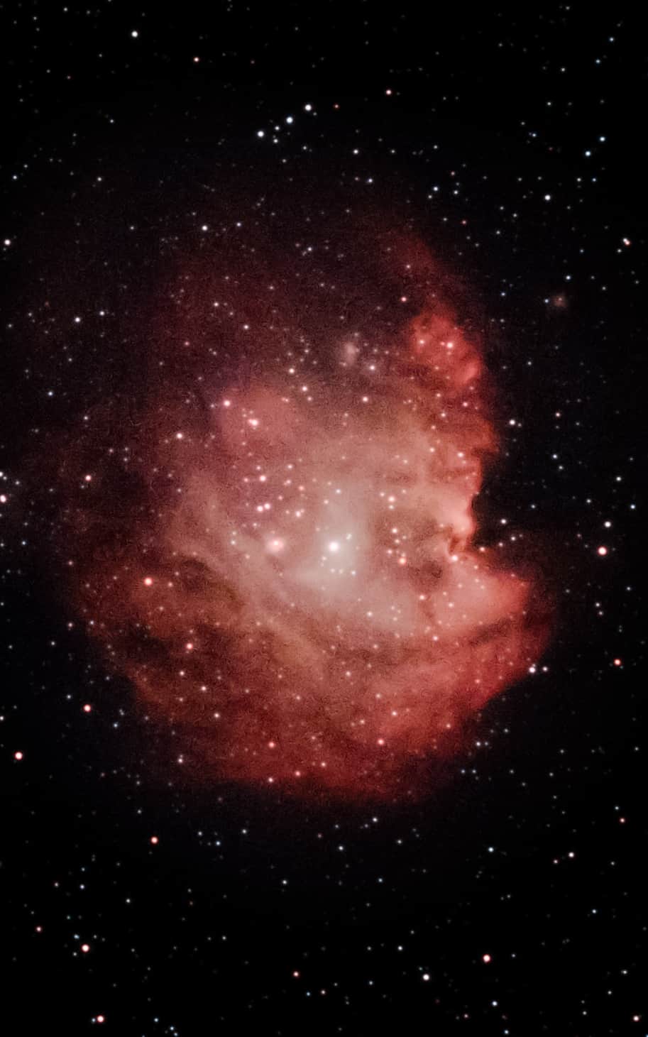 Image of the Monkey Head Nebula