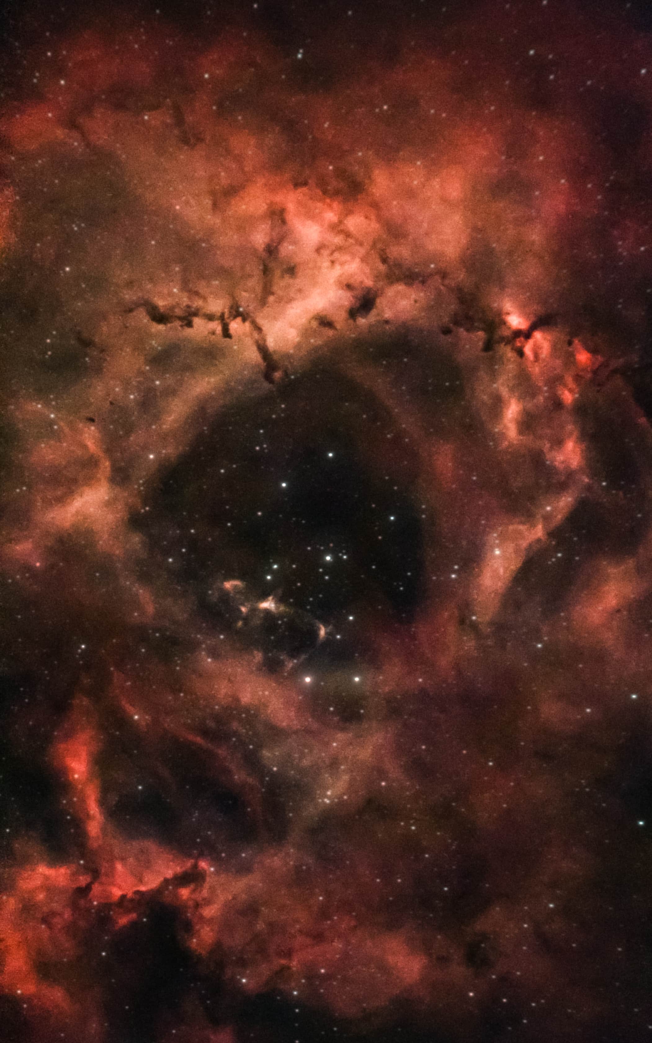 Image of the Rosette Nebula